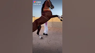 ونتك للفزعه طبول حالات وتس ذوق وقصيره ستوريات نستقرام حــالات وتـــس اب 