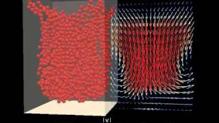 Rayleigh Taylor Instability using SPH and DEM