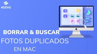 Cómo borrar automáticamente fotos duplicadas en la aplicación Mac Fotos screenshot 5