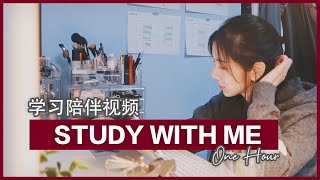 带音乐环境声 1小时无间隔Study With Me 学习陪伴视频 高度专注 跟我一起学习吧 荷兰留学