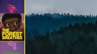 the forest breathes +
