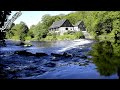 Relaxing Forest River Stream Sound - Water Sounds for Sleep or Focus - White Noise Stream 10 Hours.
