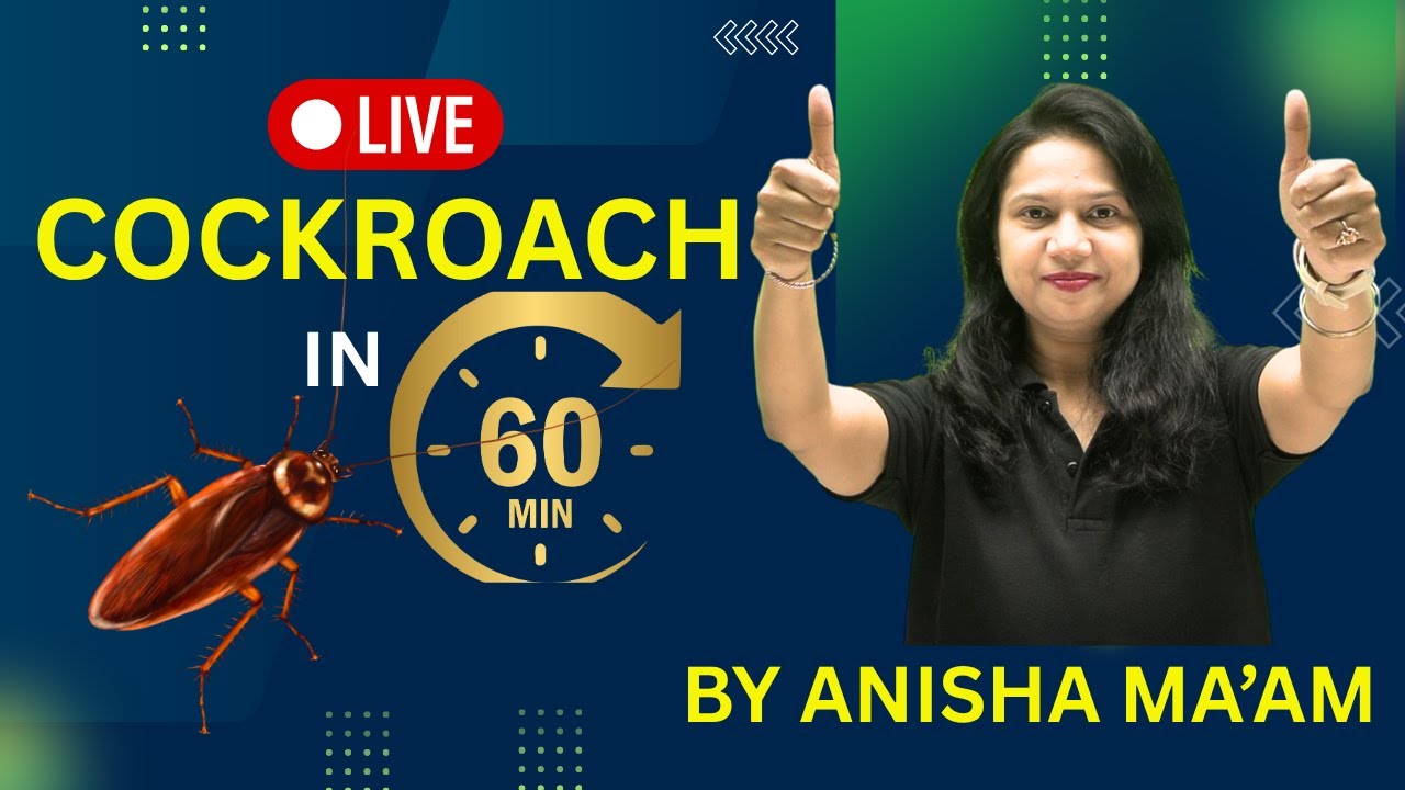 🎯🎯Complete Cockroach in 60 Minutes | Master Class for NEET 🔥🔥🔥🔥🔥🔥🔥❤️❤️❤️