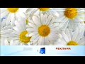 Неполная заставка рекламы КРТ 2008 2010