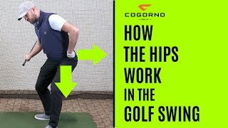 GOLF:  How The Hips Work In The Golf Swing screenshot 2