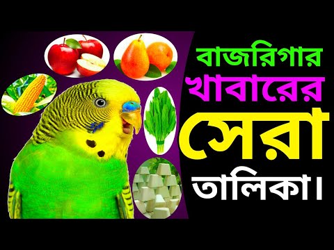 ভিডিও: প্যারাকিটরা কি আঙ্গুর পছন্দ করে?