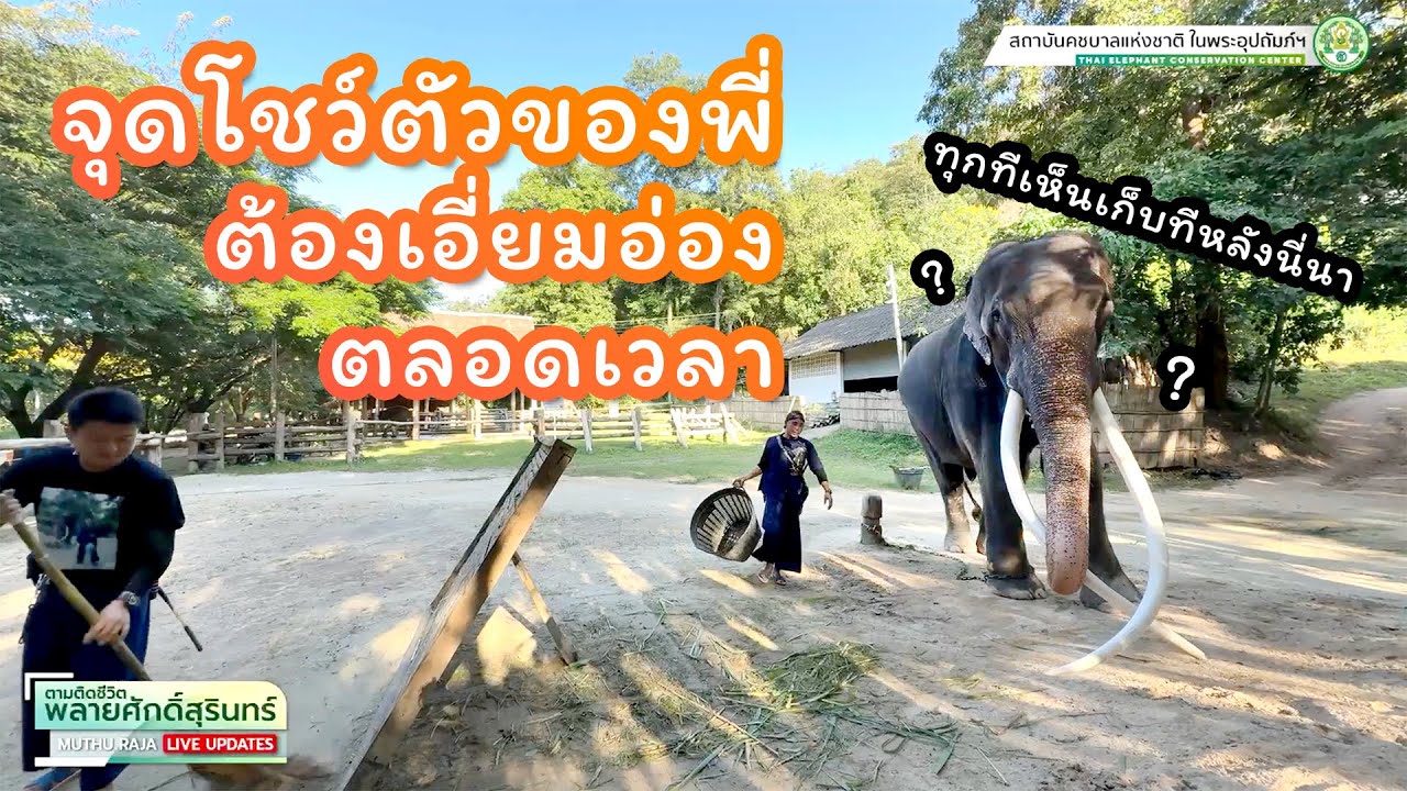 ตามติดชีวิต 