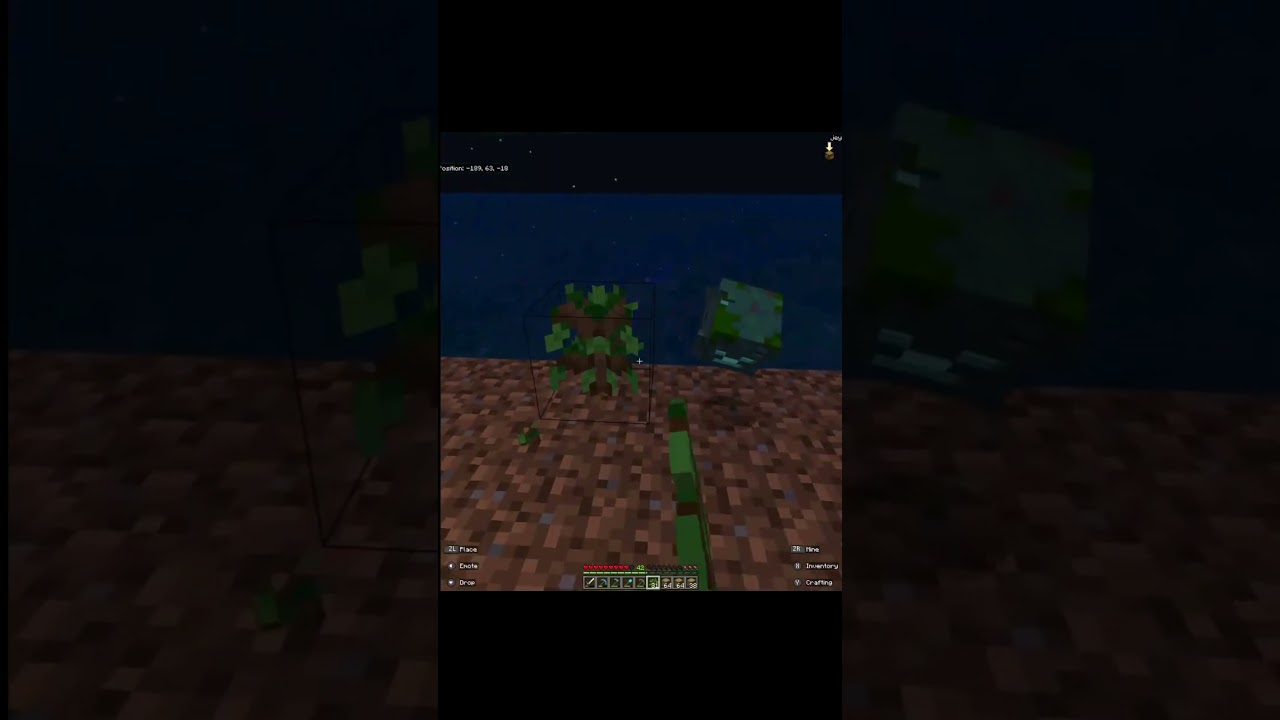 What is this??? Lagcraft 12
