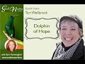 Dolphin of hope with teri wellbrock on soul nectar show teaser