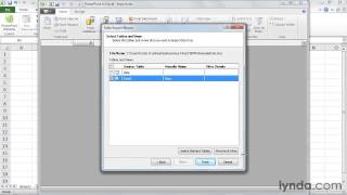 0903 Importing PowerPivot data