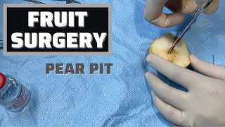 Fruit Surgery  Pear Pit