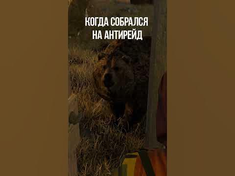 Как ты узнал про игру РАСТ? #short #shorts #rust #раст - YouTube