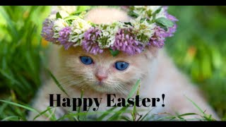 Happy Easter Greetings And Message Music Video - For The Cat Lover
