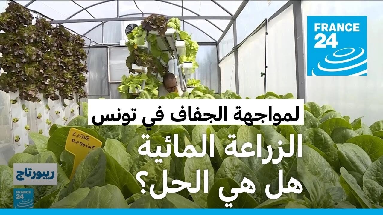 هل ستحقق الزراعة المائية اكتفاء تونس من الغذاء؟