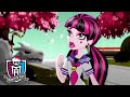 Monster High™ 💜 Draculaura in Shibooya! 💜 Cartoons for Kids