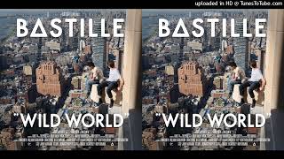 Wild Snakes - BASTILLE (Mashup)