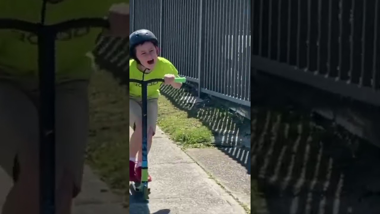 Magpie attacks kid on scooter