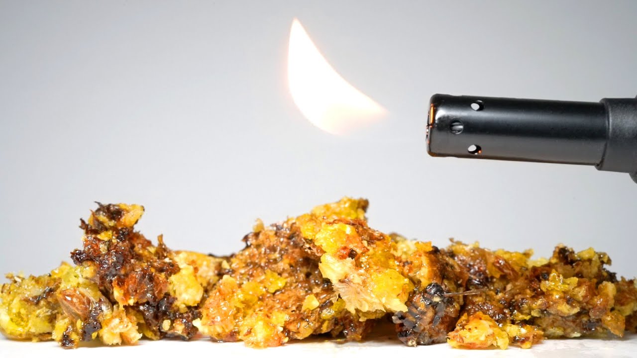 Setting fire to a beehive reveals a shocking truth! - YouTube