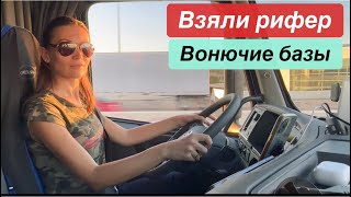 видео: Взяли рифер на месяц в аренду. Вонючие куриные базы картинка: Взяли рифер на месяц в аренду. Вонючие куриные базы