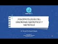 FISIOPATOLOGIA SINDROME NEFROTICO Y NEFRITICO || #fisiopatología