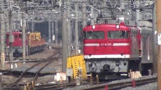 701系秋田車N105編成　仙台転属配給  EF81 95+ゆうマニで牽引
