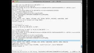 SIP - SIP Debugging screenshot 4
