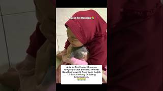Hilang 1.5 Tahun, Akhir Bertemu Kembali #shorts #cat #kucing #animals #sad #pets #kitten #catlovers
