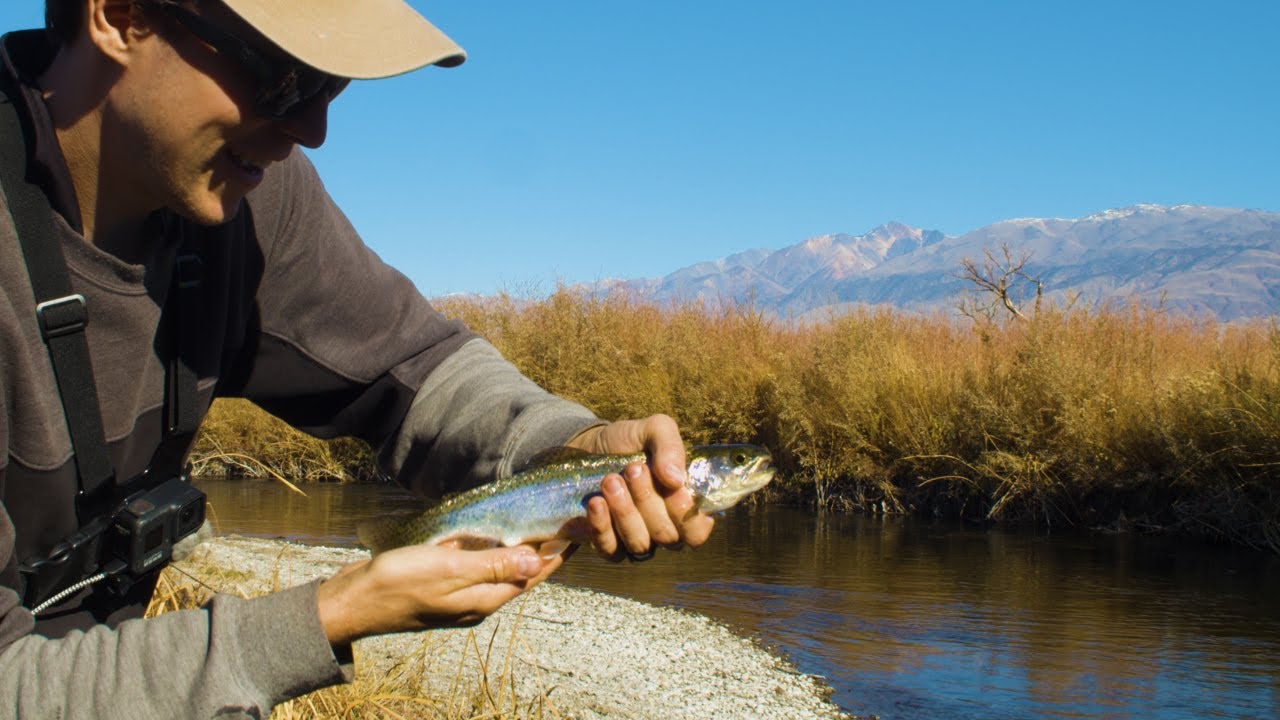 Fishing For Rainbow Trout and Brown Trout at a SERENE Tundra River | The Lower Owens River