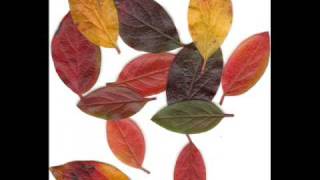 L Cherubini -  Ave Maria