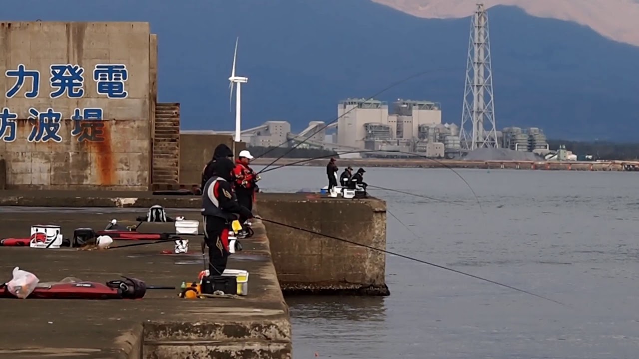 酒田離岸堤 11月中旬の釣果まとめ 黒鯛 真鯛 山形県鶴岡市 まんたの釣果ブログ