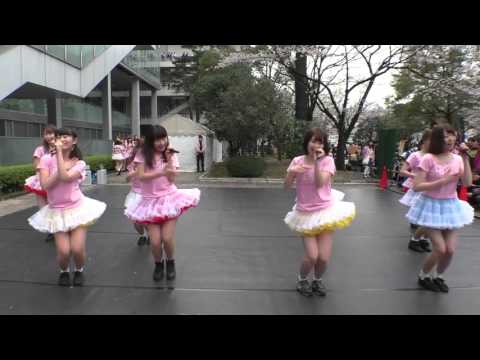 【明治大学Copia】 希望的リフレイン/AKB48