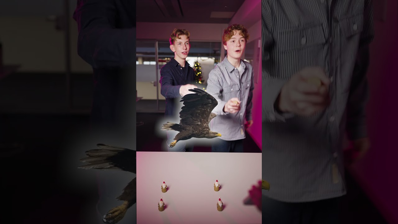 Hvem ved mest om dyr? 🦅🐬