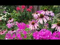 How I Transform My Perennial Flower Garden | Four Seasons Garden Journey