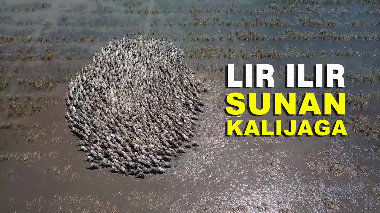 Lir Ilir Sunan Kalijaga, Lagu Asli dan Tafsir Bahasa Jawa