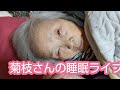 90歳代の高齢者の独り言です。