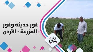 غور حديثة وغور المزرعة