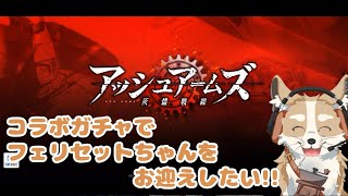 【ｱｯｼｭｱｰﾑｽﾞ】マルフーシャコラボでフェリセットをお迎えする！！【#新人Vtuber #さんぽらいぶ】
