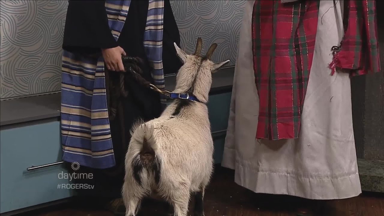 Step Into Christmas Live Experience