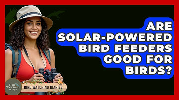 Are Solar-Powered Bird Feeders Good For Birds? - Bird Watching Diaries