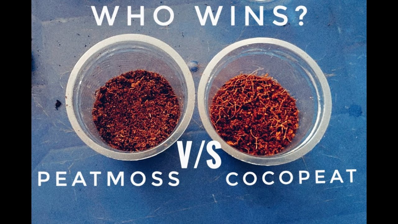 Cocopeat Vs Peatmoss