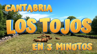 LOS TOJOS en 3 minutos. Conoce el encanto de este bonito pueblo en el Valle de Cabuérniga. CANTABRIA