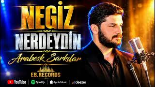 NERDEYDİN