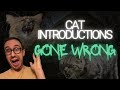 Cat Introduction Gone Wrong: Solutions That Work!