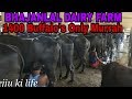 BHAJANLAL DAIRY FARM kaman Road Mumbai