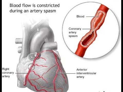 Cardiovascular System Autoregulation and Capilary Dynamics