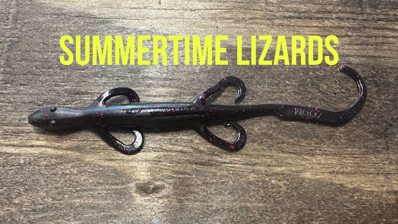 The Weightless Summer Lizard Technique 