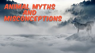 Animal Myths And Misconceptions - Dont Believe Everything You Hear