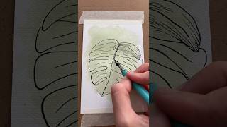 Botanical drawing series: monstera leaf ? #botanicalillustration #monsteraplant #artvideo #shorts