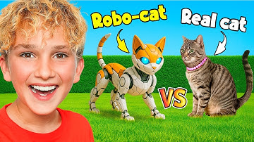 REAL Cat vs ROBO Cat!!!