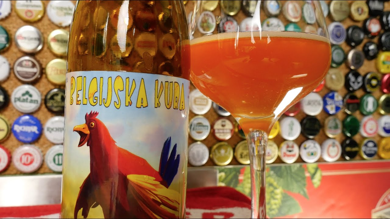 Belgijska Kura z browaru Mały Kurek